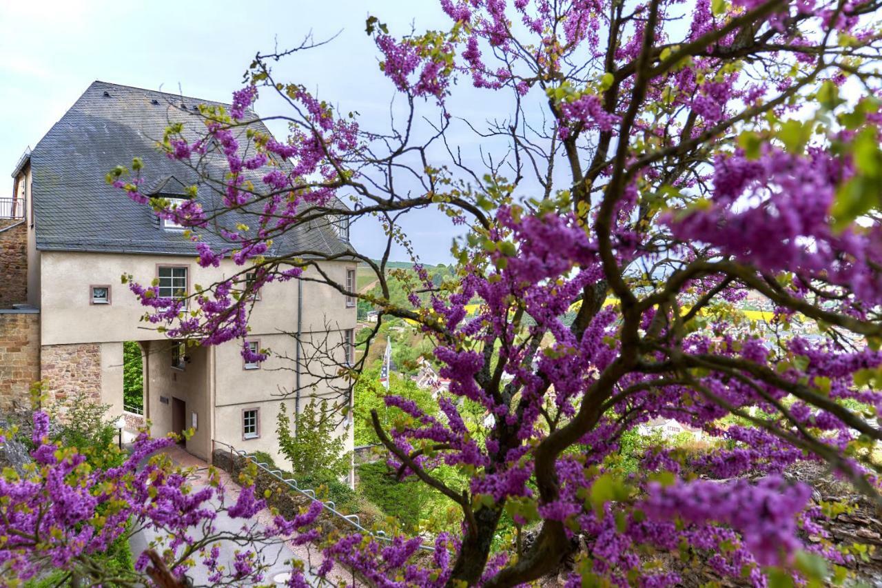 Ev.Familienferien-Und Bildungsstaette Ebernburg Hotel Bad Munster am Stein-Ebernburg Luaran gambar